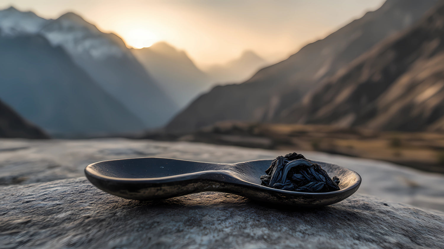 Nature´s Victory presenterar fördelar med shilajit